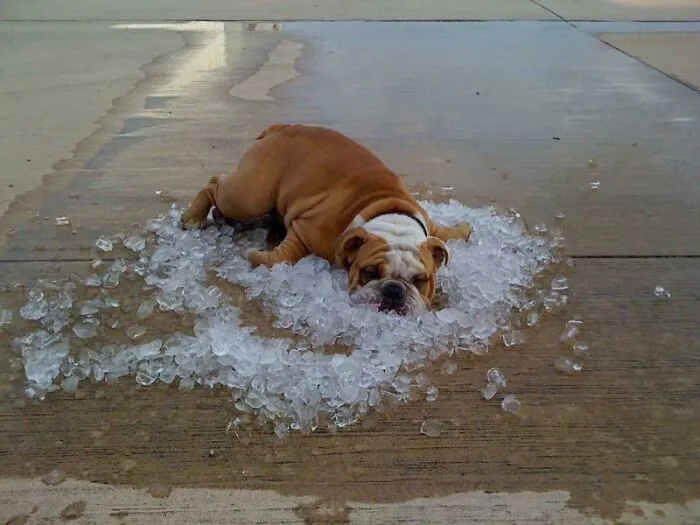 You Know It Is Hot When