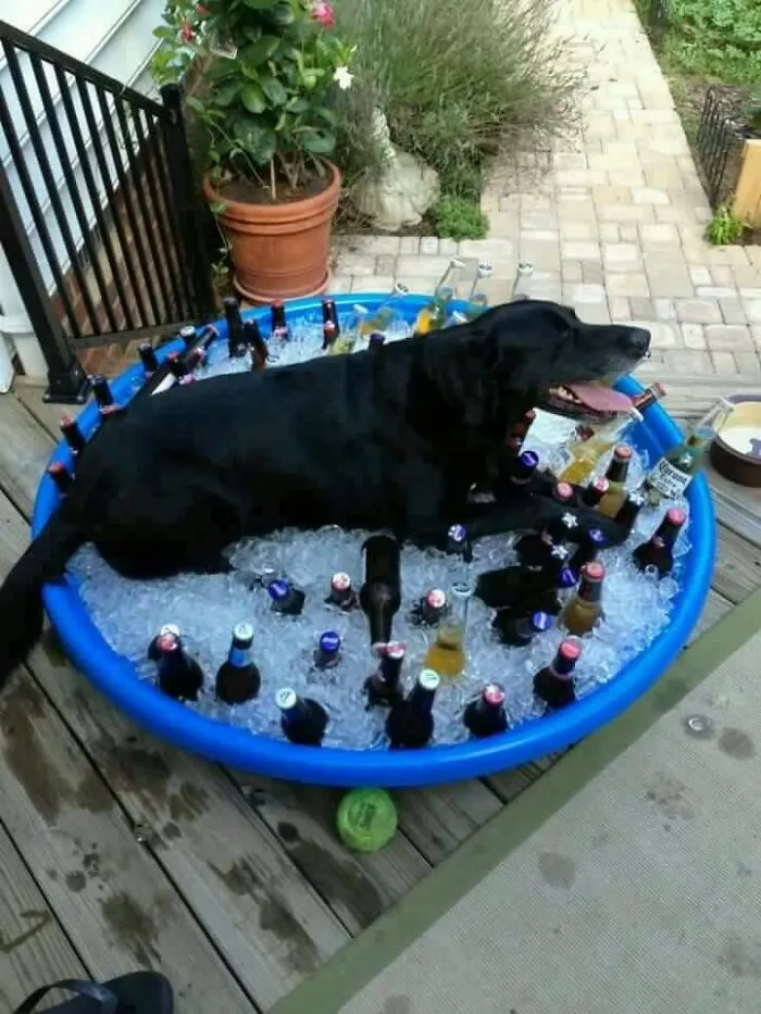 Combate el calor