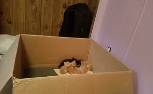 50 Times People Couldn’t Believe Their Luck While Dumpster Diving