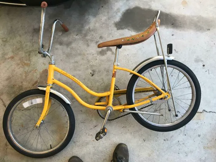 It’s Amazing What People Will Throw Away. Late 1960s Schwinn ‘Fair Lady’ Cruiser. My Wife Needed A Bike And Absolutely Loves It!