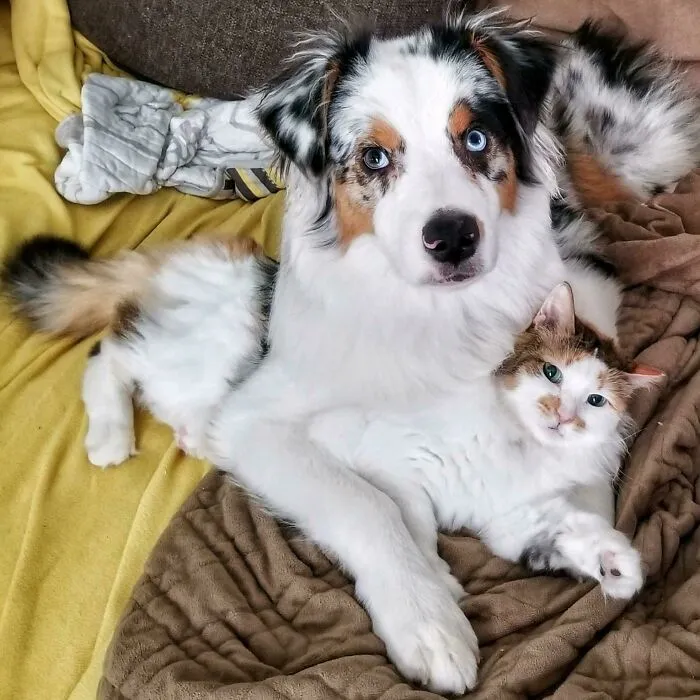 Matching Brother And Sister
