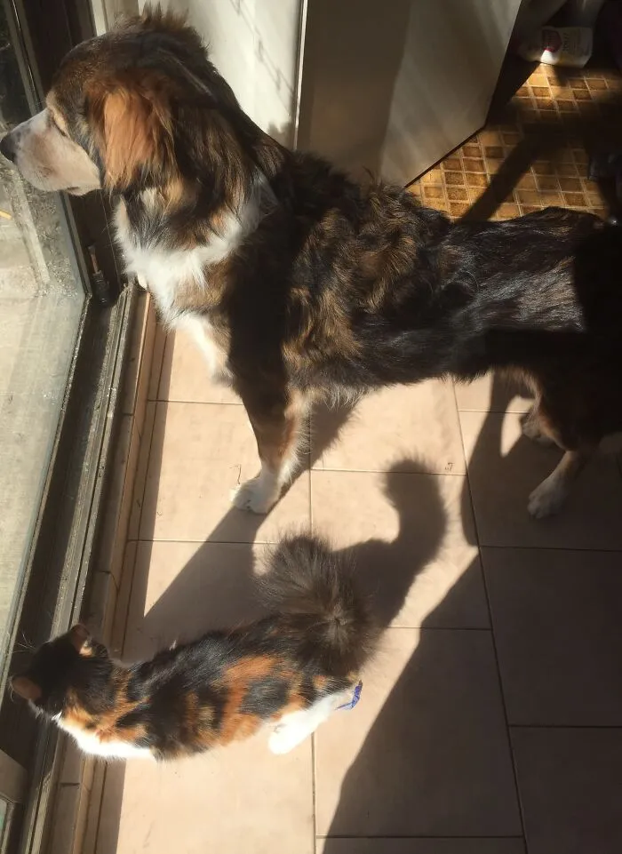 I Didn't Realize How Well They Matched Each Other Before Now