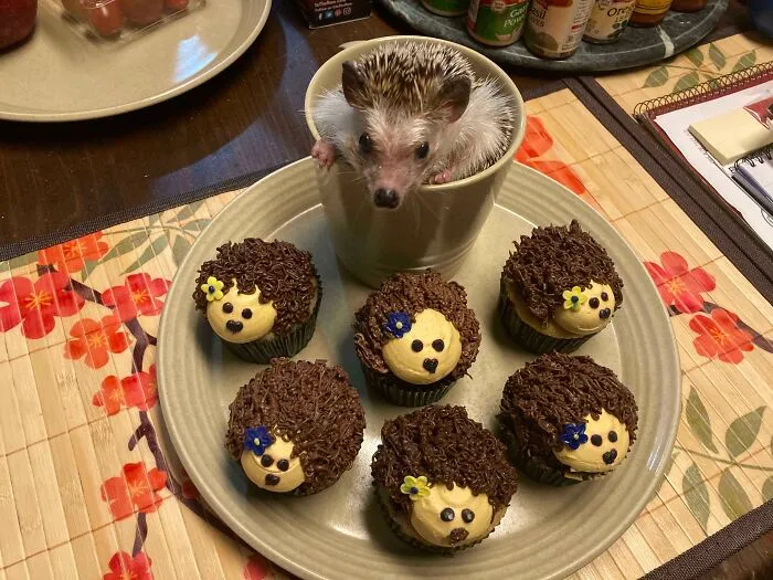 It’s My 6th Bday, Partying With My Buds