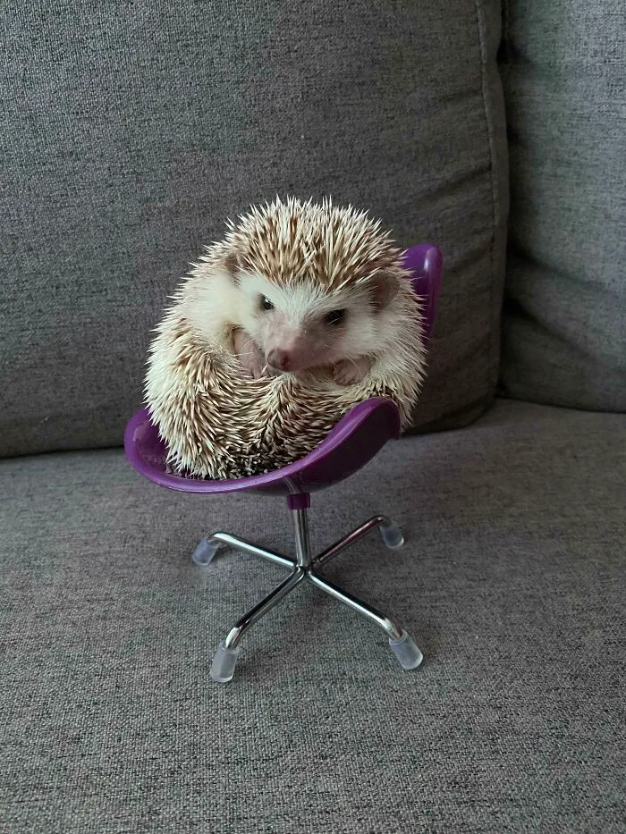 My Coworker Is Pretty Cute