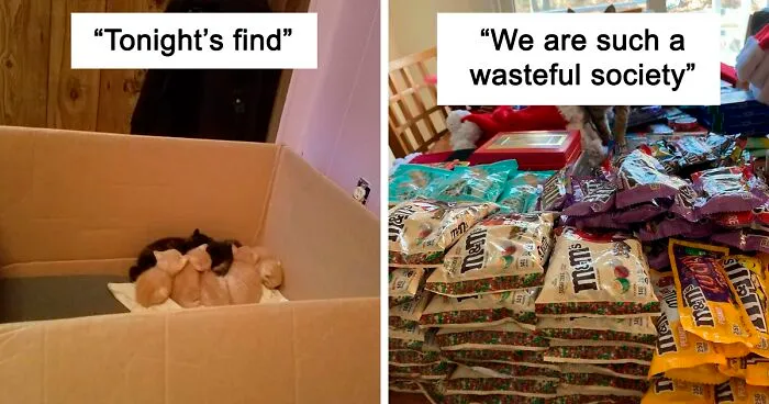 50 Times People Couldn’t Believe Their Luck While Dumpster Diving