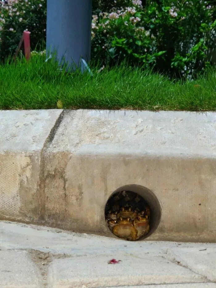 Esperando a que acabe el confinamiento...