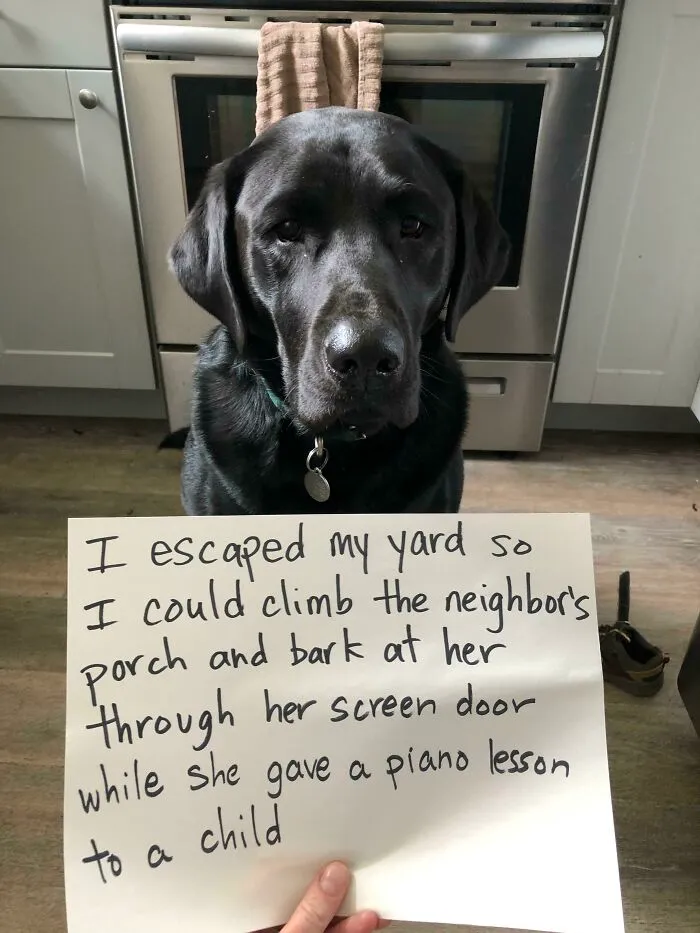 He Has No Regrets