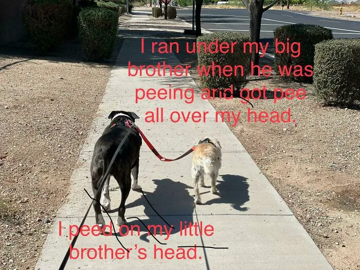 This One Took Teamwork
