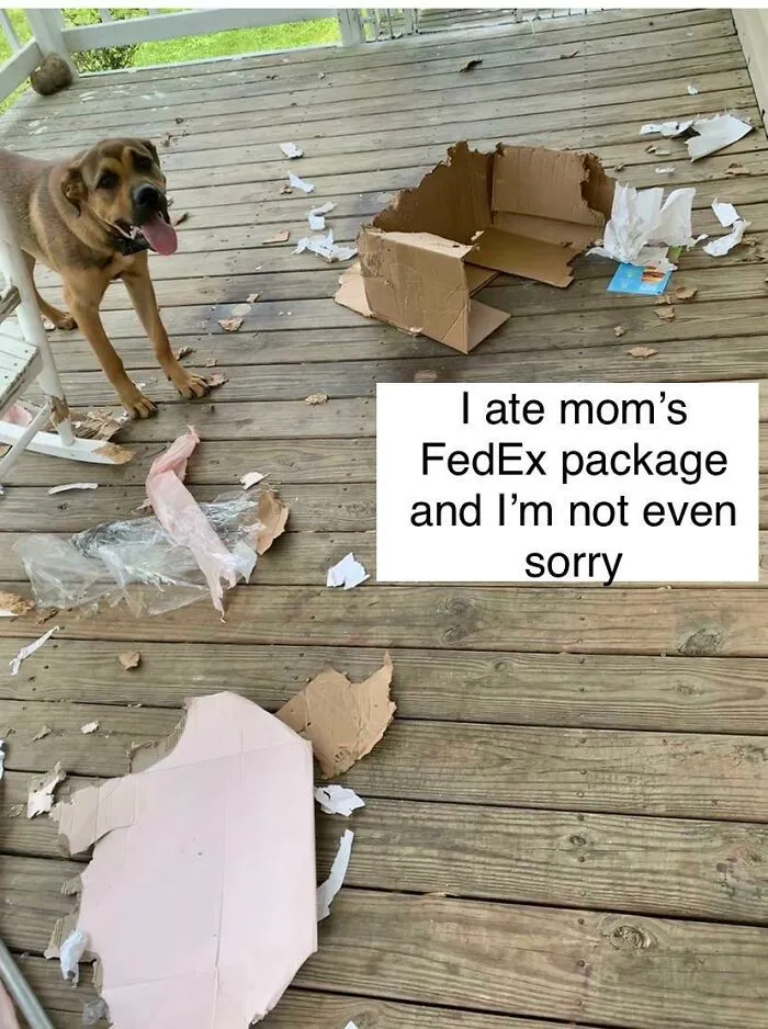 Caja destrozada
