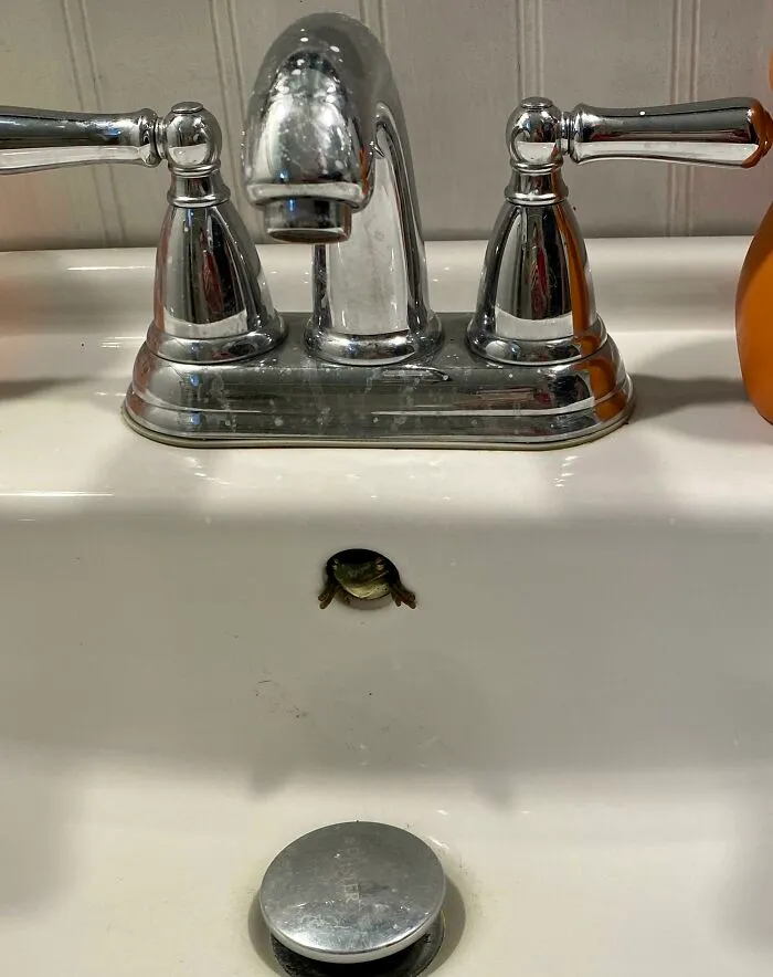 Woke Up To Find I Have A New Tenant Apparently