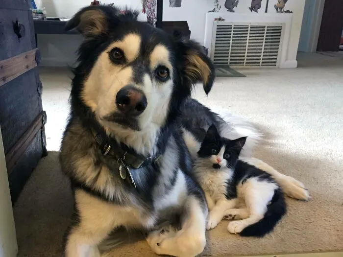 My Twins. I Don't Think They Know They're Adopted
