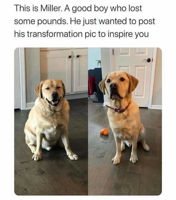 Miller Believes In You