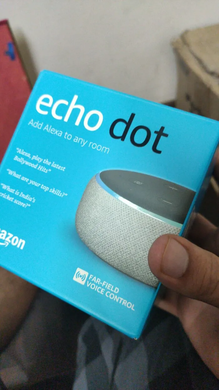Birthday Gift From My Family To My Introverted Self So I'll Have "Someone To Talk To"