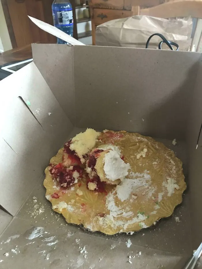 Bought Myself A Birthday Cake Yesterday. Then The Rest Of My Family Found It