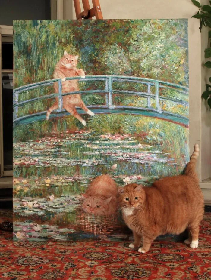 20 De las mejores publicaciones, bromas y memes sobre gatos