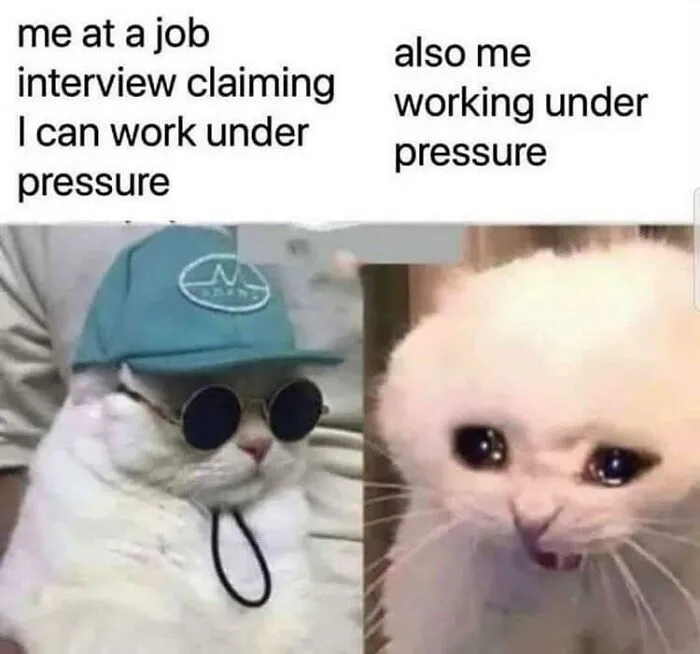 This Online Group Is Sharing The Best Cat Posts, Jokes, And Memes (50 Pics)