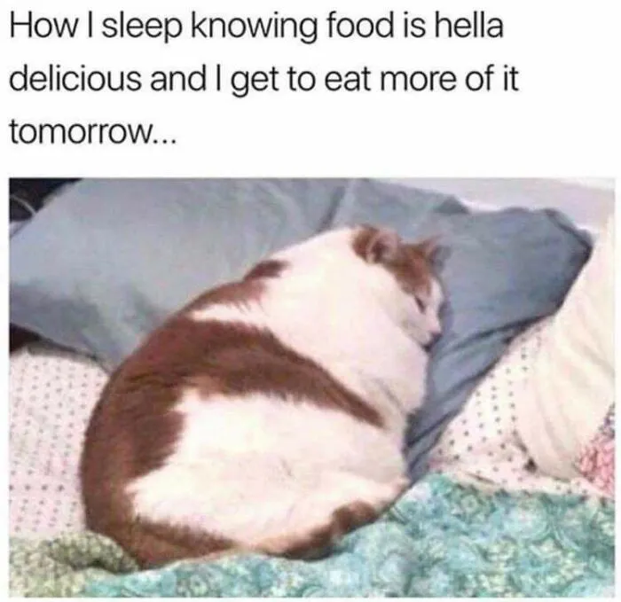 This Online Group Is Sharing The Best Cat Posts, Jokes, And Memes (50 Pics)
