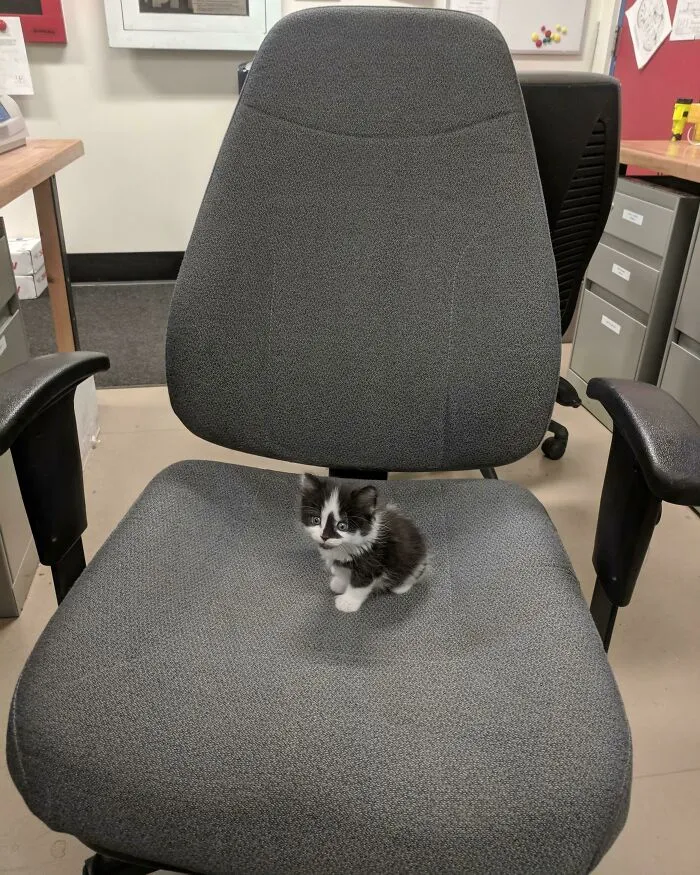 Lil Mav At Work With Me