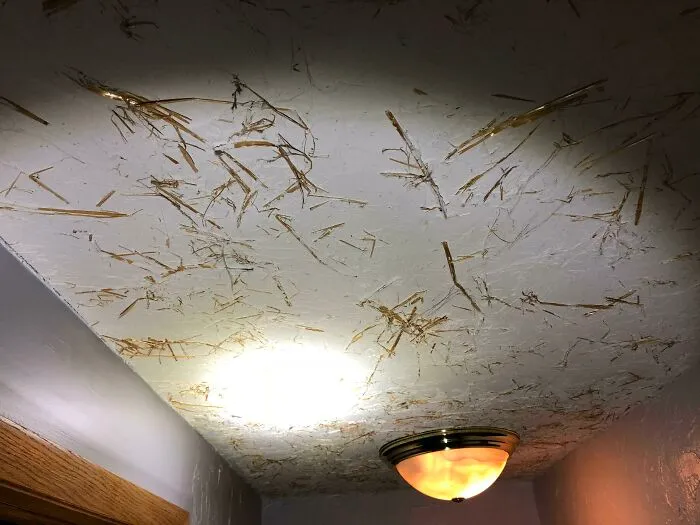 Textured Ceilings