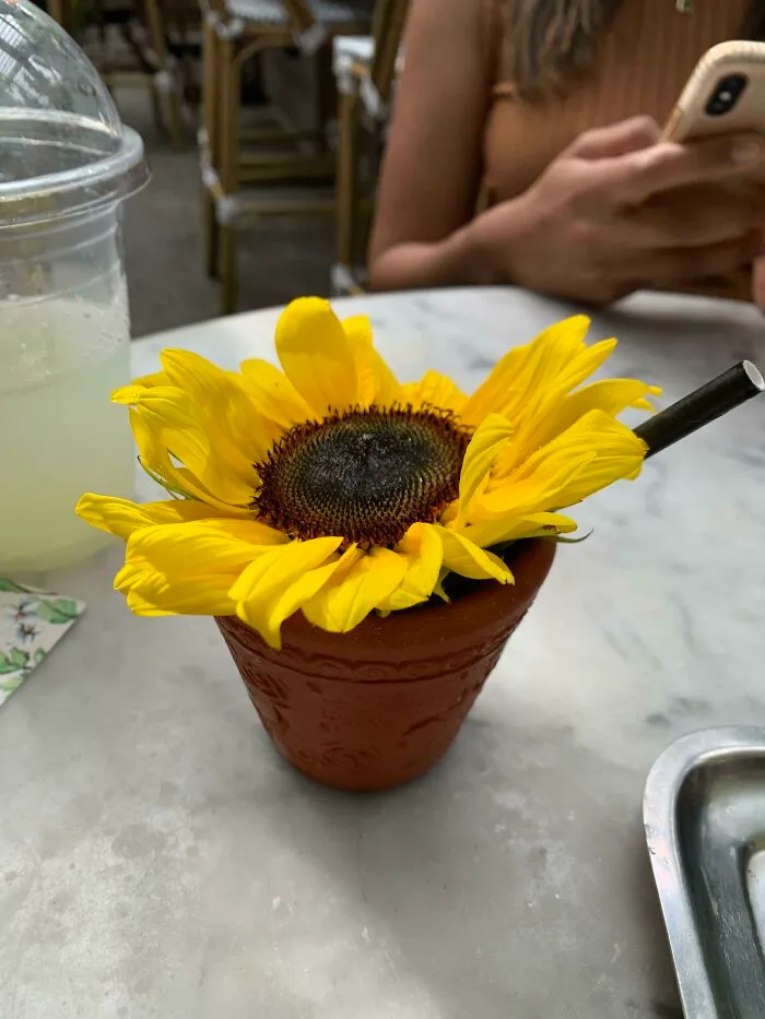 Cocktail In A Garden Pot