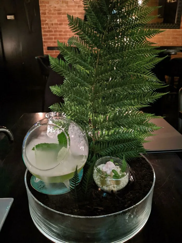 Just Found This Sub. Had This Crazy Thing In Toronto