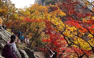 South Korea Is A Whole Different World, And These 50 Photos Are Here To Prove It