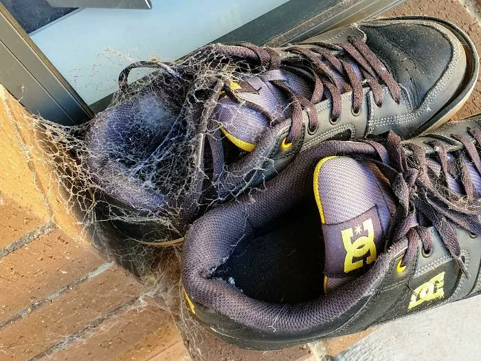 Left My Shoes Outside In Australia