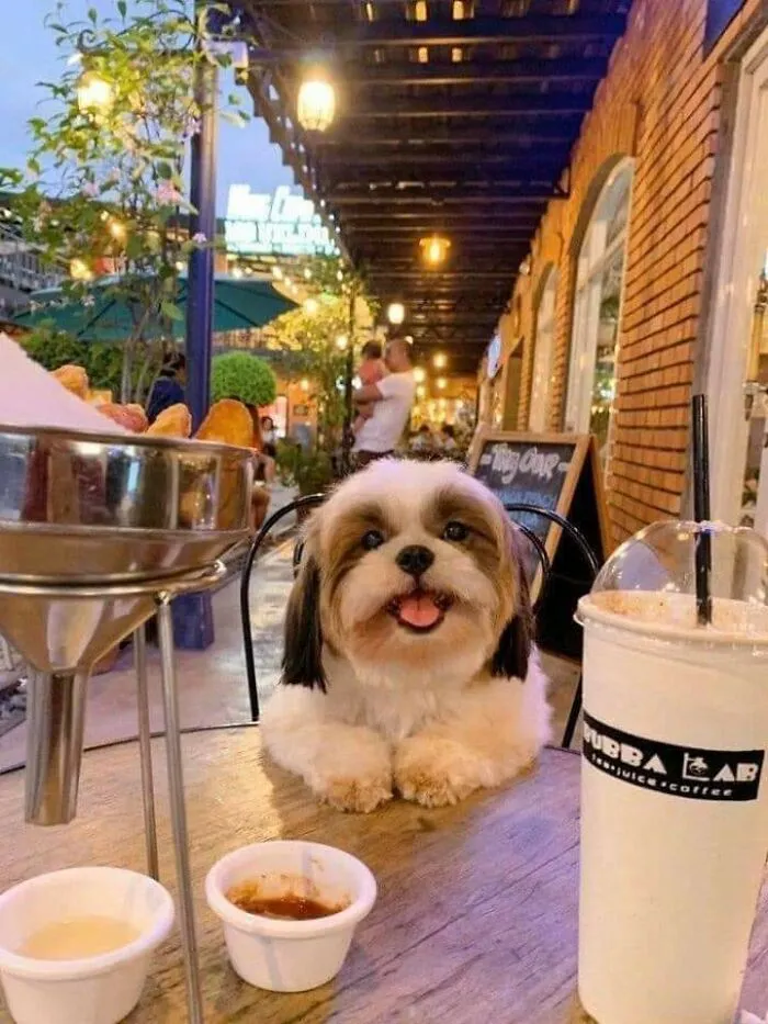 Best Date Ever