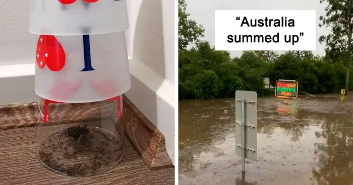 This Online Community Celebrates The Land Of 'Nope', Here Are 50 Of The Best Pics