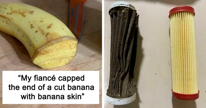 ‘Mildly Interesting’: An Online Group Exploring The Weird And Wonderful Side Of Everyday Life (50 New Pics)