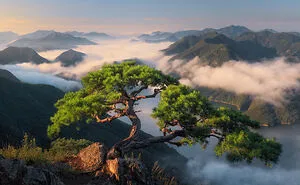 South Korea Is A Whole Different World, And These 50 Photos Are Here To Prove It