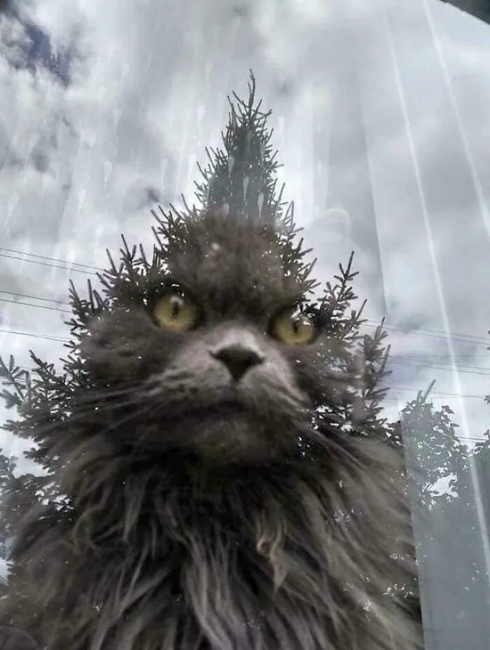 Grinch Remake