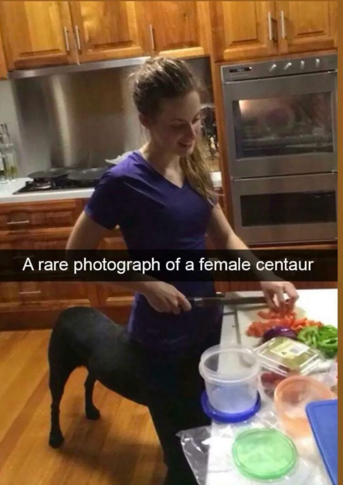 Just A Female Centaur Cooking