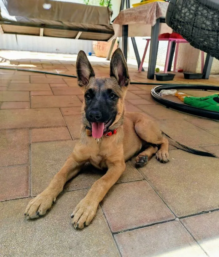 My Family Just Adopted This Beautiful Little Girl, And We Cant Think Of Any Names... Any Suggestions?