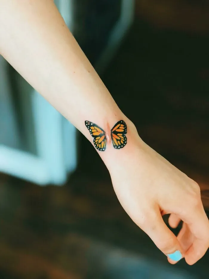 Mariposa de cicatriz