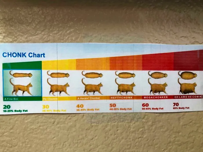 I Work At A Vet Clinic And One Of My Coworkers Put This Up On The Wall