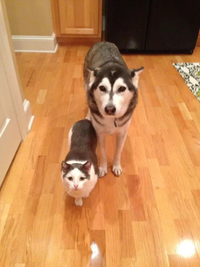 Brother From Another Mother