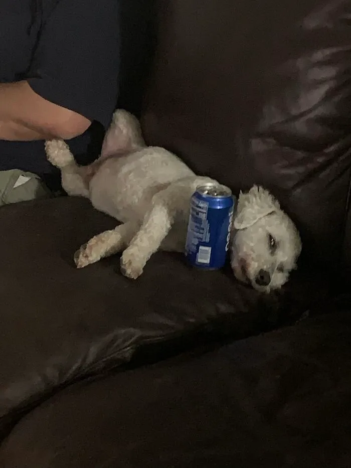 Forgot This One! He Is Sleeping With His Eyes Open