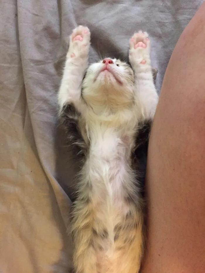 I Wish I Ever Felt This Relaxed!
