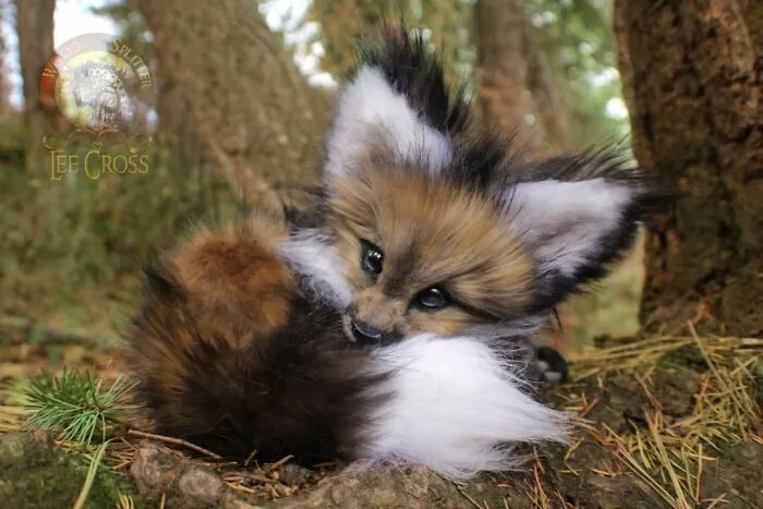 116 Incredibly Cute Animal Sculptures Made By Lee Cross
