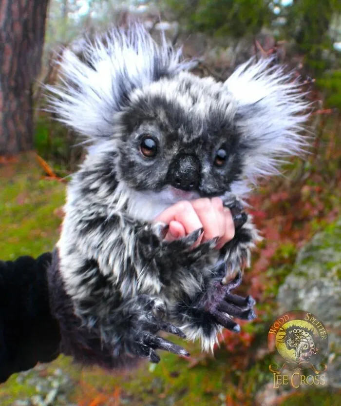 116 Incredibly Cute Animal Sculptures Made By Lee Cross