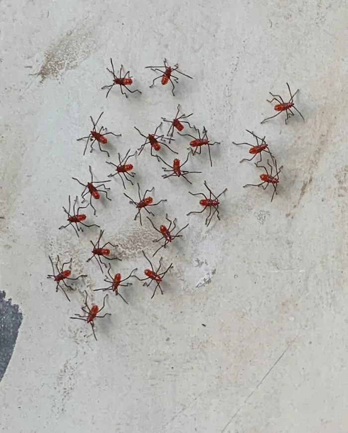 These Guys Doing Whatever They’re Doing