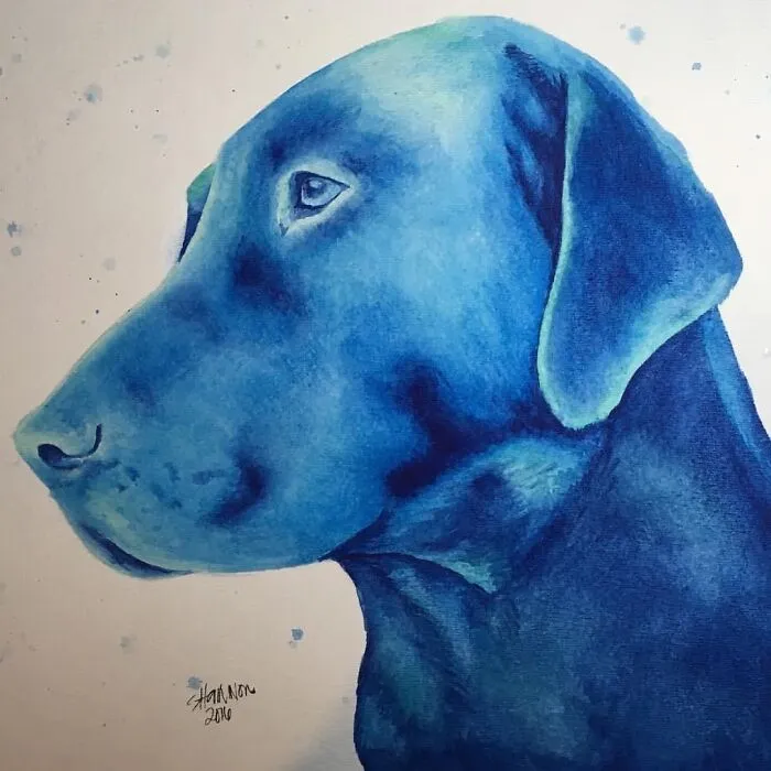 Tony Dog