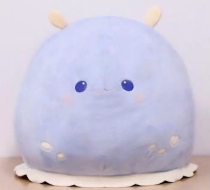 This Giant Sea Slug Plush, He Hasnt Arrived Yet But I Got Him Instead Of A Beanbag Hes 120 Cm All Round 😂