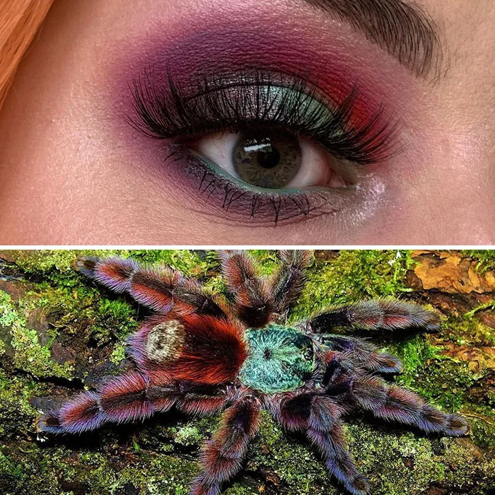 Esta artista mostró la belleza de los insectos con sus 20 estilos de maquillaje de ojos a juego