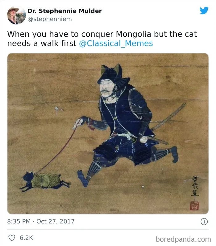 This Online Group Is Sharing The Best Cat Posts, Jokes, And Memes (50 Pics)