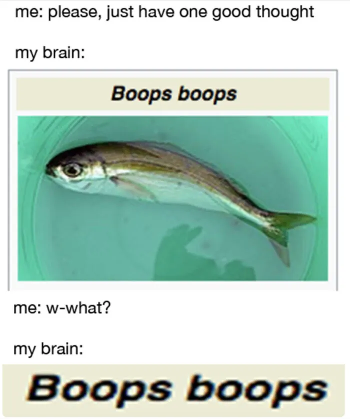 Cackled At This For A Good 5 Minutes