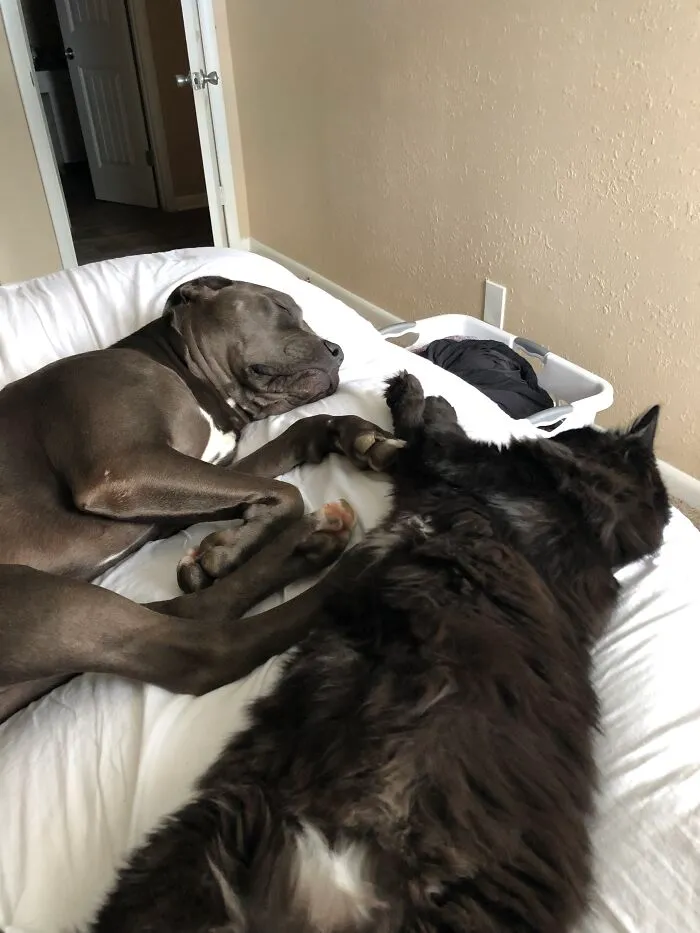 Sister Love