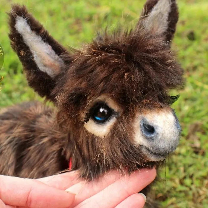 116 Incredibly Cute Animal Sculptures Made By Lee Cross