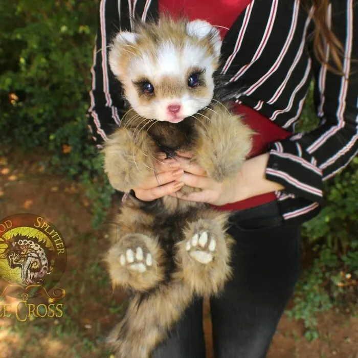 116 Incredibly Cute Animal Sculptures Made By Lee Cross
